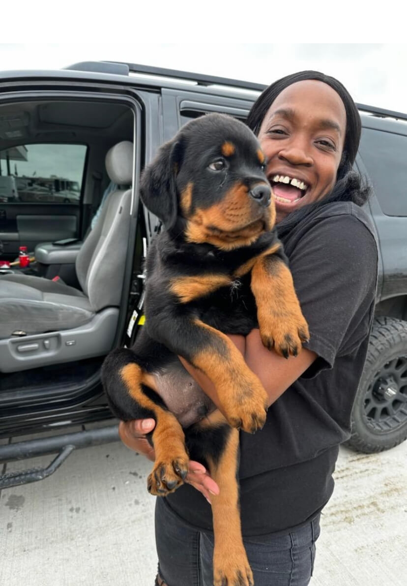 Ethical Rottweiler Breeding